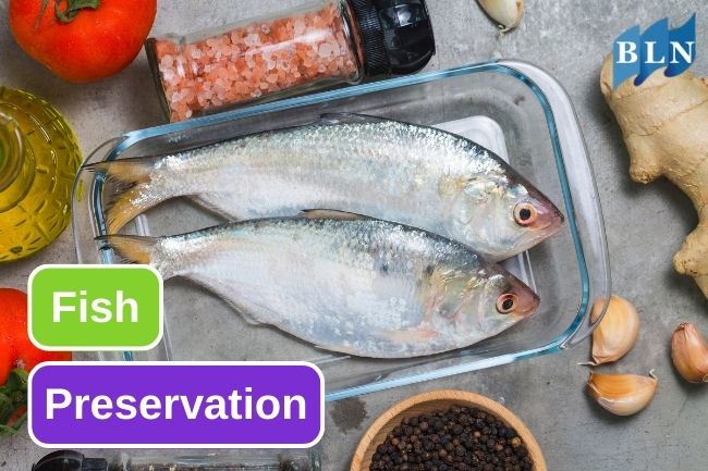 Learn 5 Ways To Preserving Fish